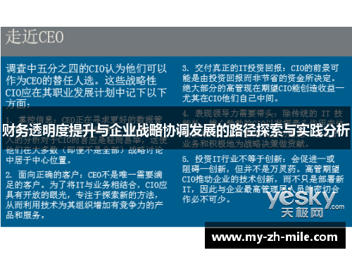 财务透明度提升与企业战略协调发展的路径探索与实践分析