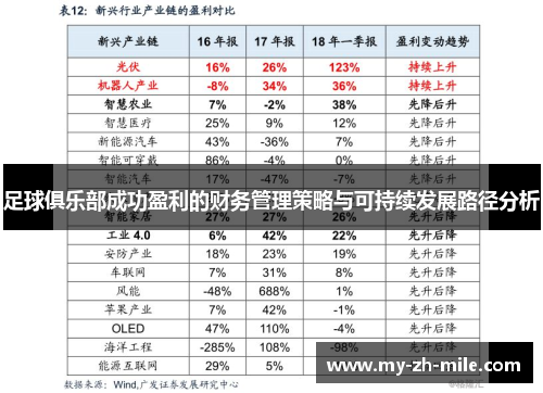 足球俱乐部成功盈利的财务管理策略与可持续发展路径分析