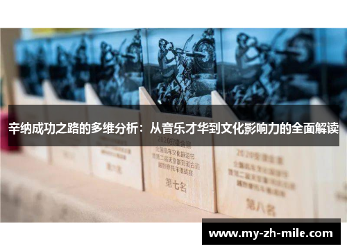 辛纳成功之路的多维分析：从音乐才华到文化影响力的全面解读