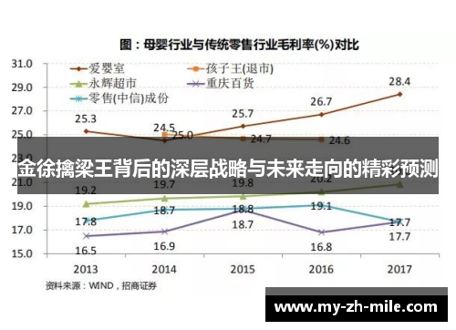 金徐擒梁王背后的深层战略与未来走向的精彩预测