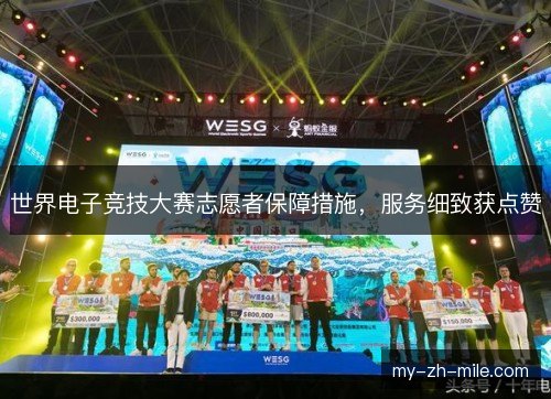世界电子竞技大赛志愿者保障措施，服务细致获点赞